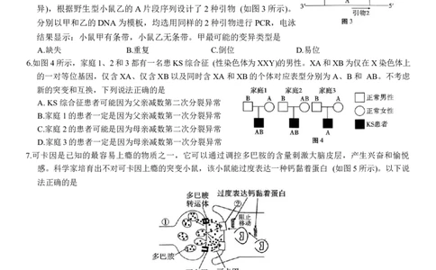 生物学试卷_2025年12月_251220重庆市重庆八中2026届高三12月高考适应性月考卷（四）（全科）_重庆市第八中学校2025-2026学年高三上学期12月月考生物试题（含答案）