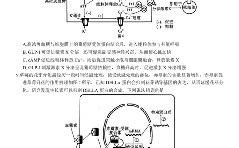 生物学试卷_2025年12月_251220重庆市重庆八中2026届高三12月高考适应性月考卷（四）（全科）_重庆市第八中学校2025-2026学年高三上学期12月月考生物试题（含答案）