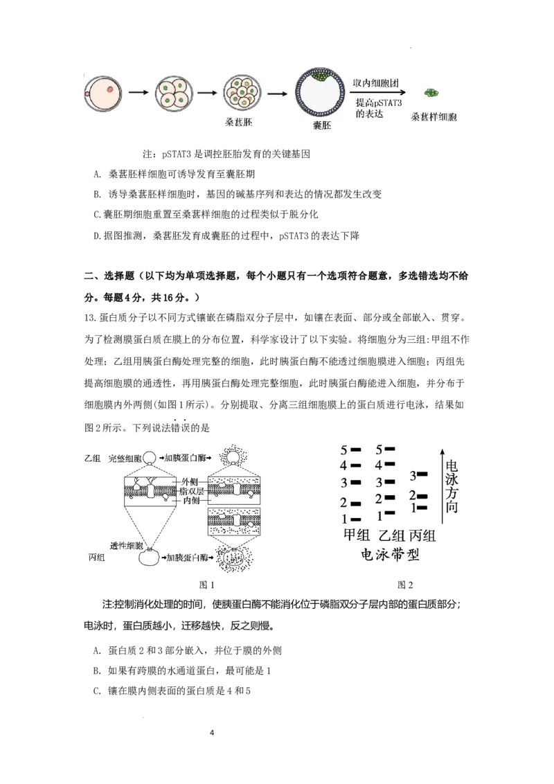 广东省惠州市高2024届高三上学期第三次调研考试生物试题_2024届广东省惠州市高三上学期第三次调研考试_广东省惠州市2024届高三上学期第三次调研考试生物