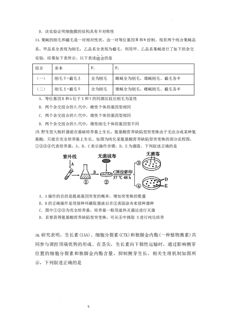 广东省惠州市高2024届高三上学期第三次调研考试生物试题_2024届广东省惠州市高三上学期第三次调研考试_广东省惠州市2024届高三上学期第三次调研考试生物
