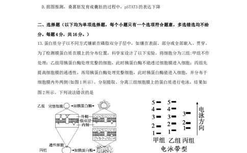 广东省惠州市高2024届高三上学期第三次调研考试生物试题_2024届广东省惠州市高三上学期第三次调研考试_广东省惠州市2024届高三上学期第三次调研考试生物