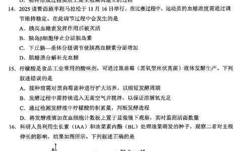 生物卷-2512诸暨诊断_2025年12月_251208浙江省诸暨市2025年12月高三诊断性考试（全科）