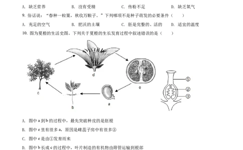 精品解析：2022年广西贺州市中考生物真题（原卷版）_中考真题_8.生物中考真题2015-2024年_2022年全国中考生物114份14
