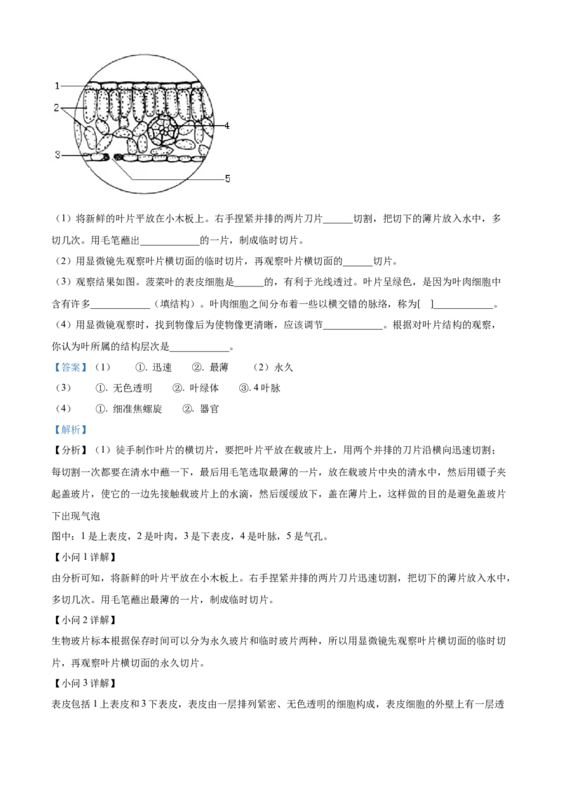 精品解析：2022年山东省聊城市中考生物真题（解析版）_中考真题_8.生物中考真题2015-2024年_2022年全国中考生物114份14