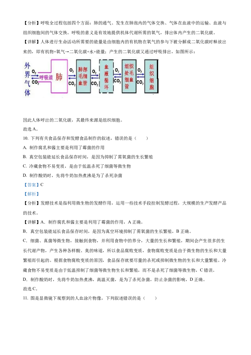 精品解析：2022年山东省聊城市中考生物真题（解析版）_中考真题_8.生物中考真题2015-2024年_2022年全国中考生物114份14