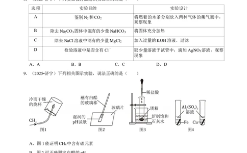 2026年中考化学常考考点专题之实验分析与处理能力_162026年中考七科常考考点专题资料_005中考化学常考考点专题