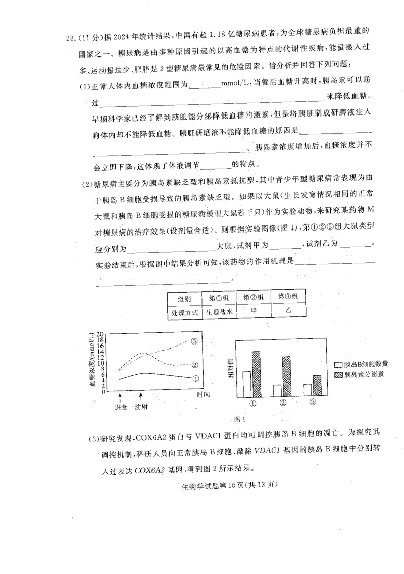 辽宁省名校联盟2025-2026学年高三上学期12月月考生物试题+答案_2025年12月_251209辽宁名校联盟2026届高三上学期12月联考