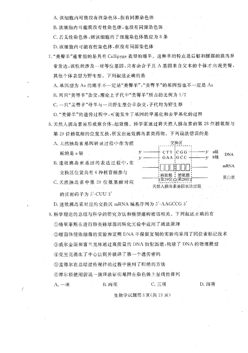 辽宁省名校联盟2025-2026学年高三上学期12月月考生物试题+答案_2025年12月_251209辽宁名校联盟2026届高三上学期12月联考