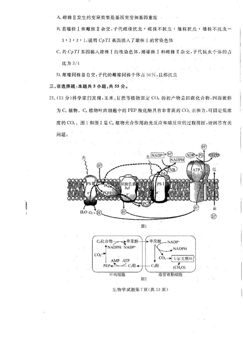辽宁省名校联盟2025-2026学年高三上学期12月月考生物试题+答案_2025年12月_251209辽宁名校联盟2026届高三上学期12月联考