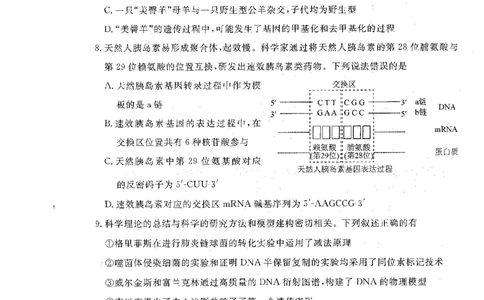 辽宁省名校联盟2025-2026学年高三上学期12月月考生物试题+答案_2025年12月_251209辽宁名校联盟2026届高三上学期12月联考