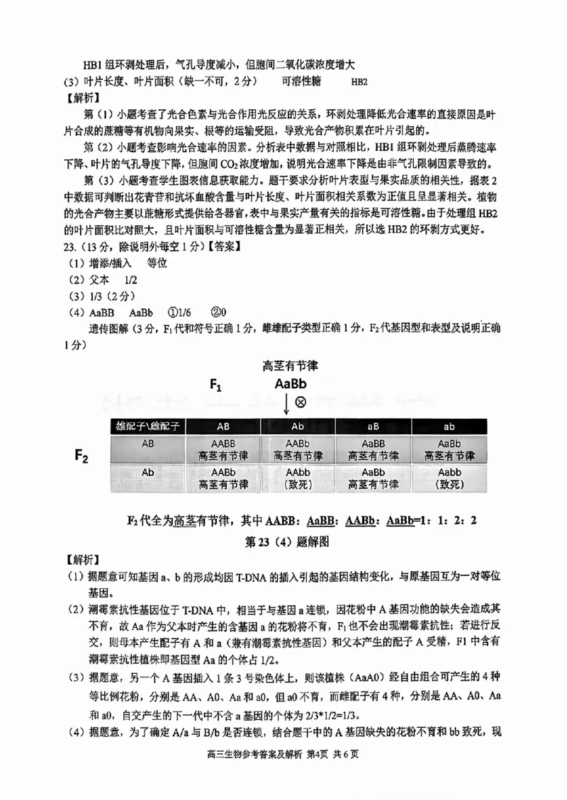 生物答案_2025年12月_251212浙江精诚联盟2025学年第一学期高三12月适应性联考（全科）_浙江精诚联盟2025学年第一学期高三12月适应性联考生物