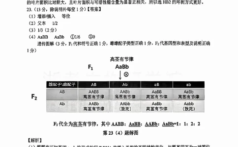 生物答案_2025年12月_251212浙江精诚联盟2025学年第一学期高三12月适应性联考（全科）_浙江精诚联盟2025学年第一学期高三12月适应性联考生物