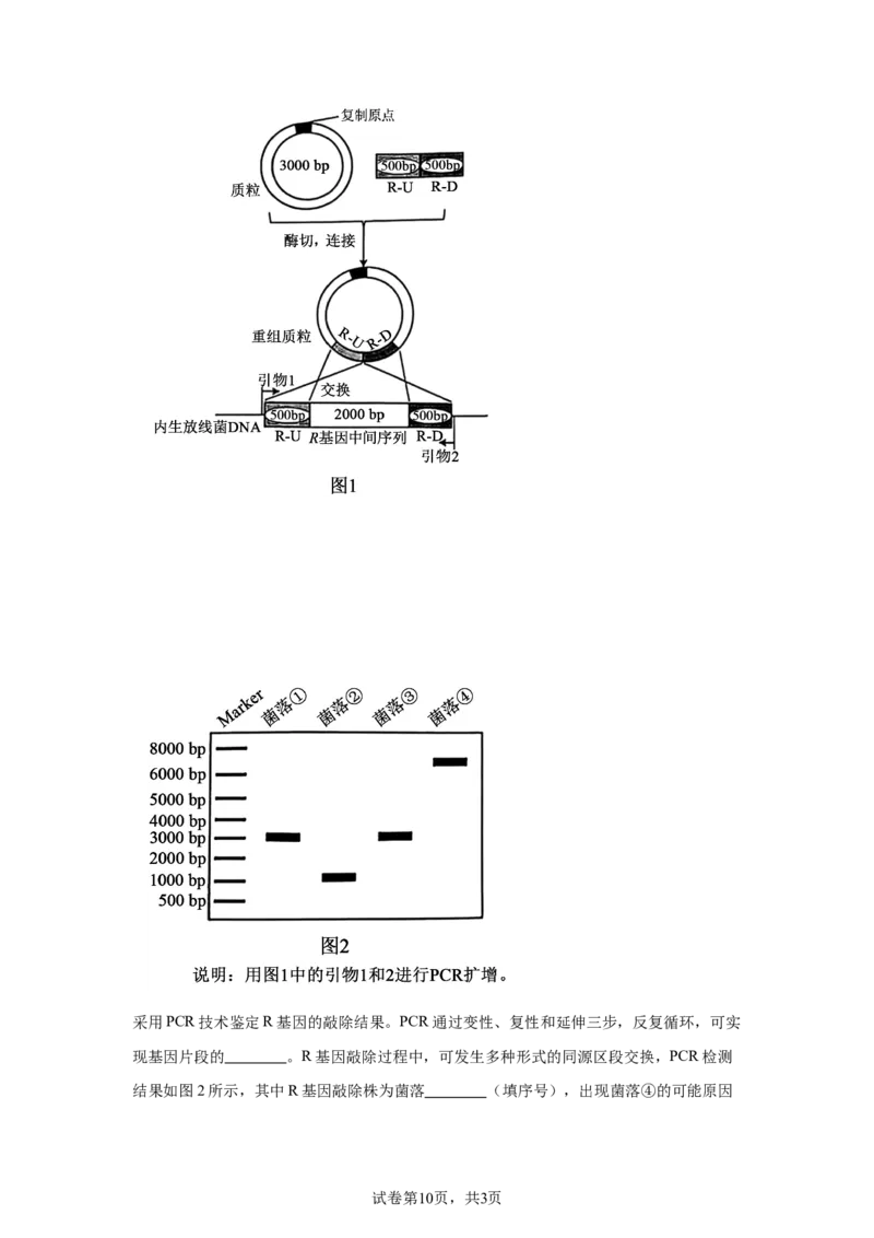 安徽2025年高考安徽生物高考真题文档版_1.高考2025全国各省真题+答案_00.2025各省市高考真题及答案（按省份分类）_10、安徽卷（9科全）_6.生物