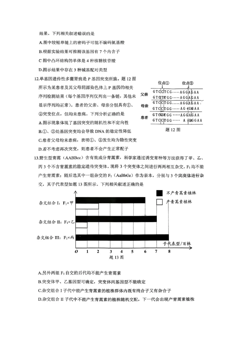 稳昇高教育2025-2026学年（上）高2026届12月联考生物_2025年12月_251213重庆大一联盟&middot;稳昇高教育2025-2026学年（上）高2026届12月联考（全科）