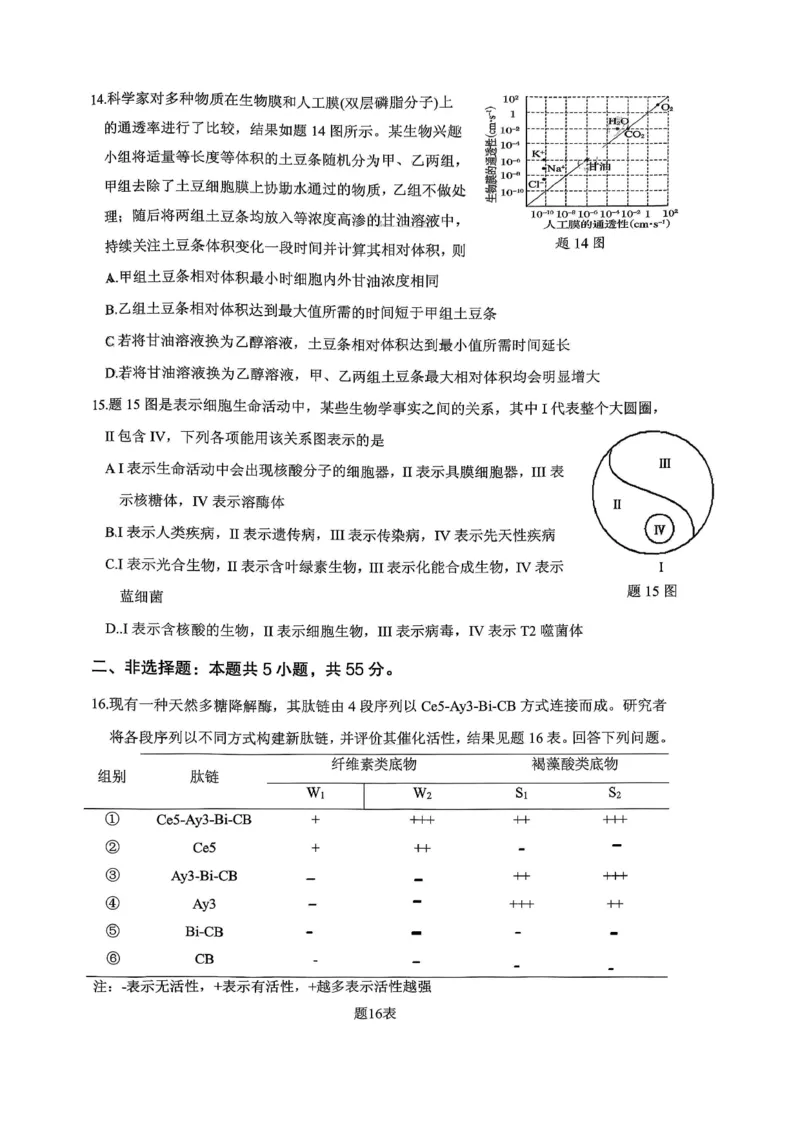 稳昇高教育2025-2026学年（上）高2026届12月联考生物_2025年12月_251213重庆大一联盟&middot;稳昇高教育2025-2026学年（上）高2026届12月联考（全科）