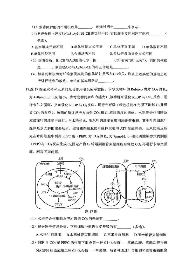 稳昇高教育2025-2026学年（上）高2026届12月联考生物_2025年12月_251213重庆大一联盟&middot;稳昇高教育2025-2026学年（上）高2026届12月联考（全科）