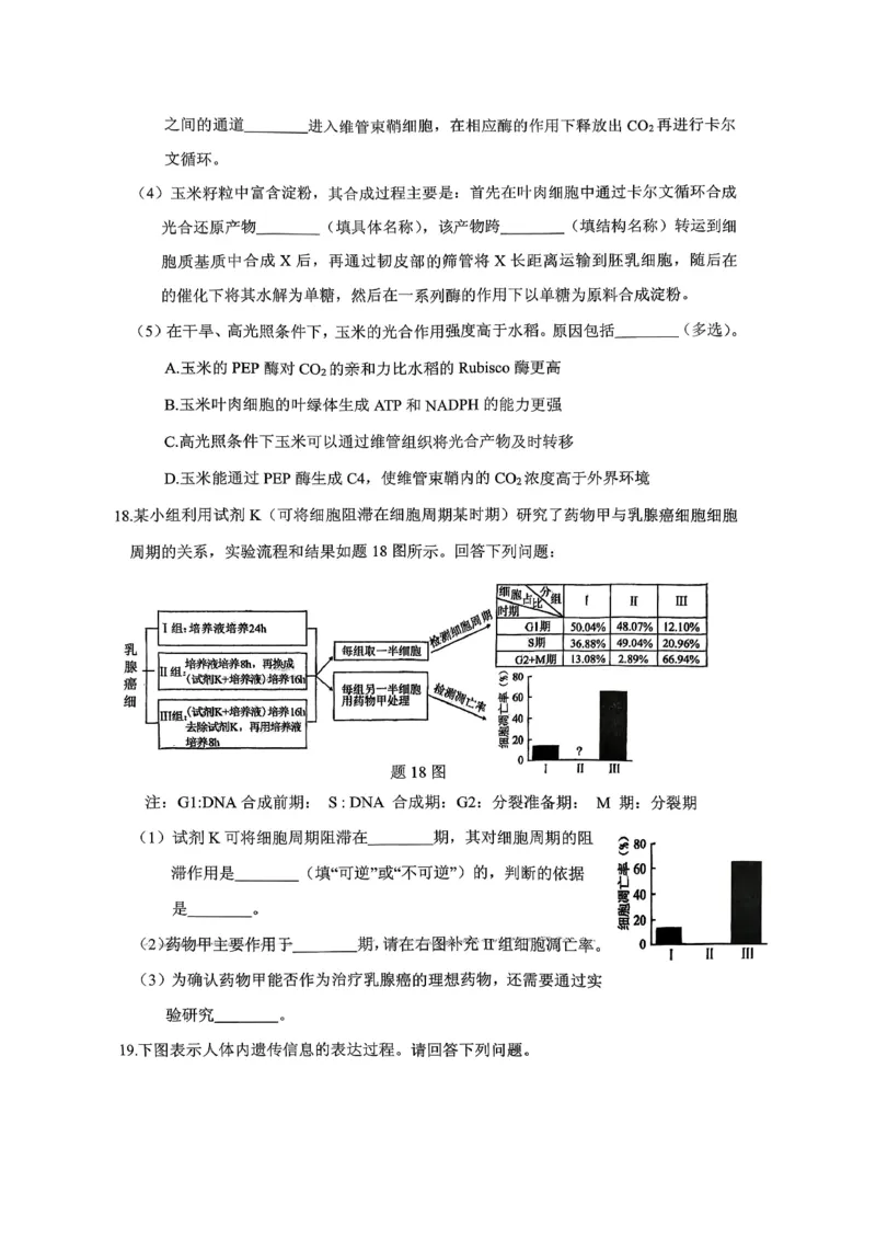 稳昇高教育2025-2026学年（上）高2026届12月联考生物_2025年12月_251213重庆大一联盟&middot;稳昇高教育2025-2026学年（上）高2026届12月联考（全科）