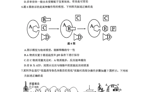 稳昇高教育2025-2026学年（上）高2026届12月联考生物_2025年12月_251213重庆大一联盟&middot;稳昇高教育2025-2026学年（上）高2026届12月联考（全科）
