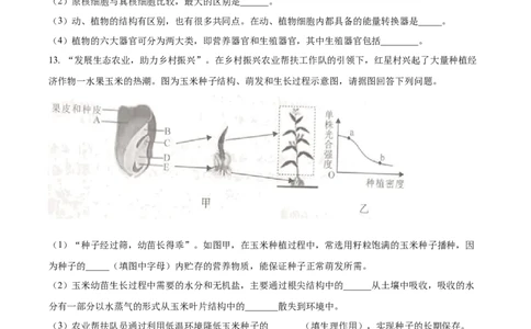 精品解析：2023年湖北省恩施州中考生物真题（原卷版）_中考真题_8.生物中考真题2015-2024年_2023年全国中考生物7.20_精品解析：2023年湖北省恩施州中考生物真题