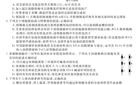 广东省深圳实验，湛江一中，珠海一中2023-2024学年高三12月联考生物试题_2024届广东省深圳实验，湛江一中，珠海一中高三上学期12月联考