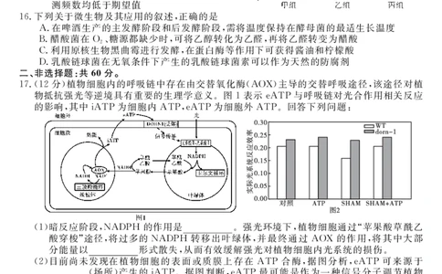 广东省深圳实验，湛江一中，珠海一中2023-2024学年高三12月联考生物试题_2024届广东省深圳实验，湛江一中，珠海一中高三上学期12月联考