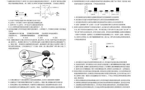 生物学(专版)高二下摸底考试A3_2025年6月_250621安徽省天一大联考2024-2025学年高二下学期6月摸底考试（全科）_生物-安徽省天一大联考2024-2025学年高二下学期6月摸底考试