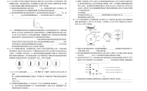 生物学(专版)高二下摸底考试A3_2025年6月_250621安徽省天一大联考2024-2025学年高二下学期6月摸底考试（全科）_生物-安徽省天一大联考2024-2025学年高二下学期6月摸底考试