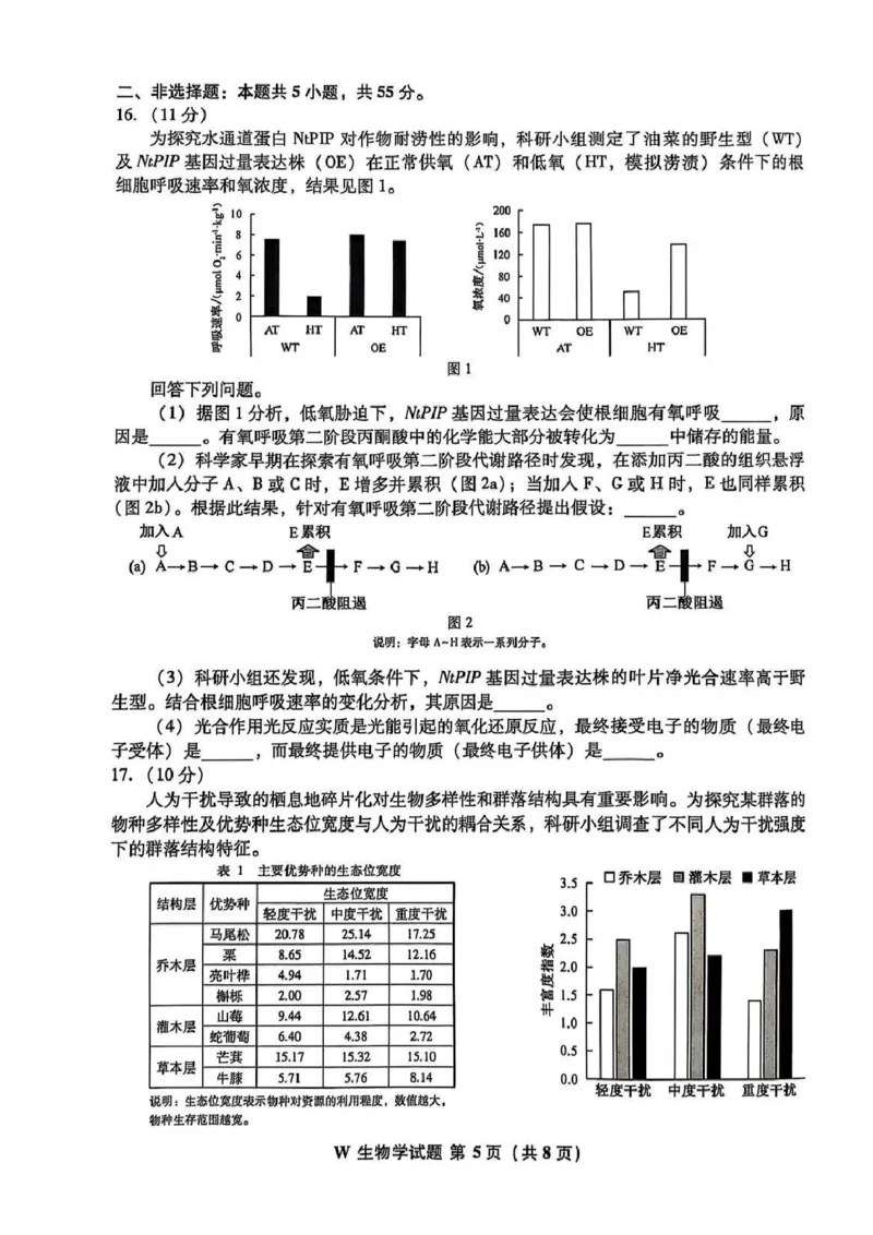 2025年高考安徽生物试题_1.高考2025全国各省真题+答案_9.高考生物真题答案更新中_1.安徽