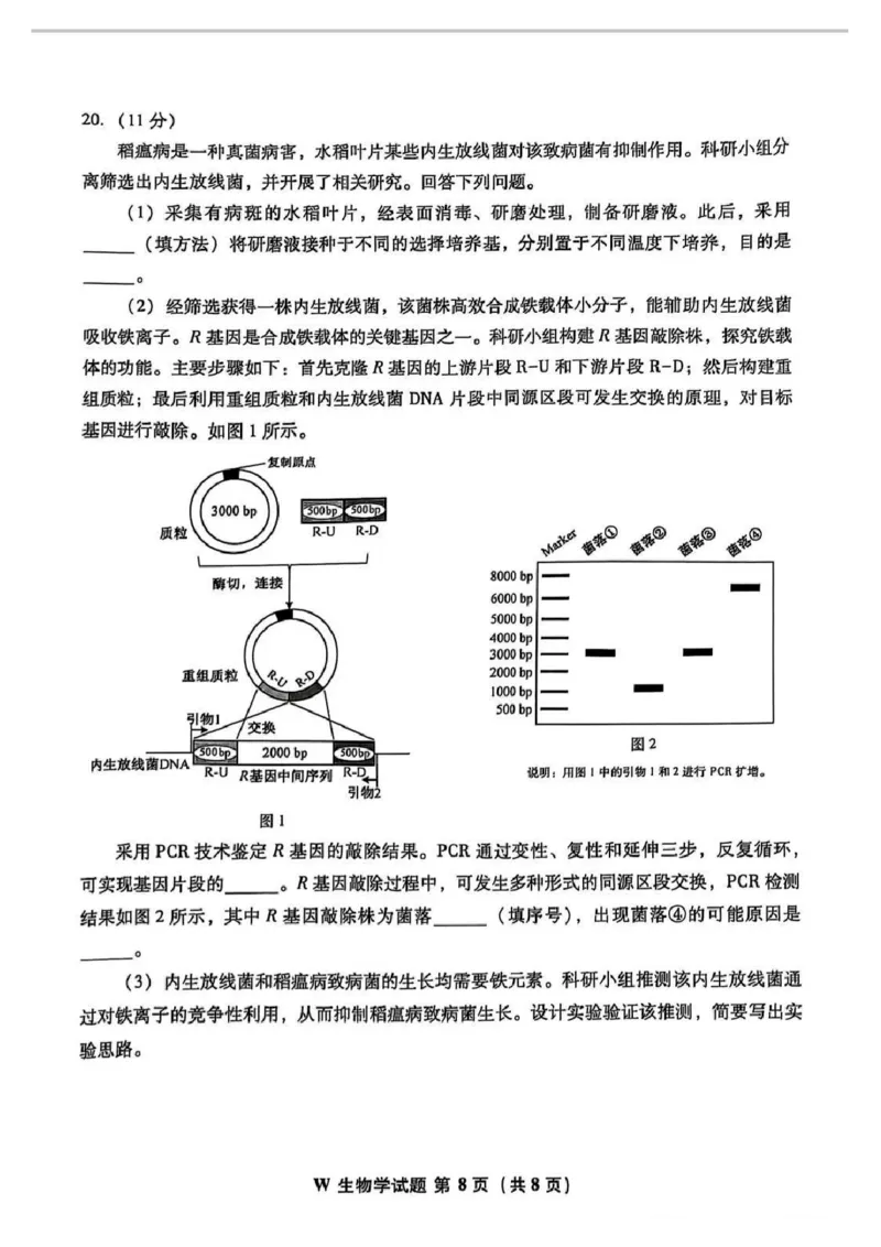 2025年高考安徽生物试题_1.高考2025全国各省真题+答案_9.高考生物真题答案更新中_1.安徽