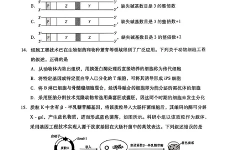 2025年高考安徽生物试题_1.高考2025全国各省真题+答案_9.高考生物真题答案更新中_1.安徽