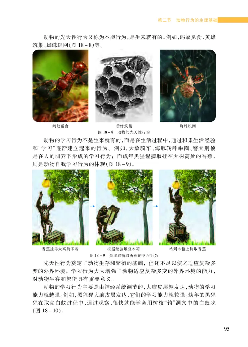 苏教版8年级生物上册高清教材_4-教培资料-26年最新资料-同步更新_初中高中教资_03科三专项（进去保存报考的学科即可）_02科三专项（笔记真题思维导图教学设计版本二）