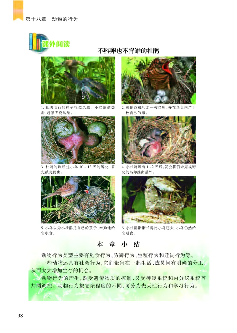 苏教版8年级生物上册高清教材_4-教培资料-26年最新资料-同步更新_初中高中教资_03科三专项（进去保存报考的学科即可）_02科三专项（笔记真题思维导图教学设计版本二）