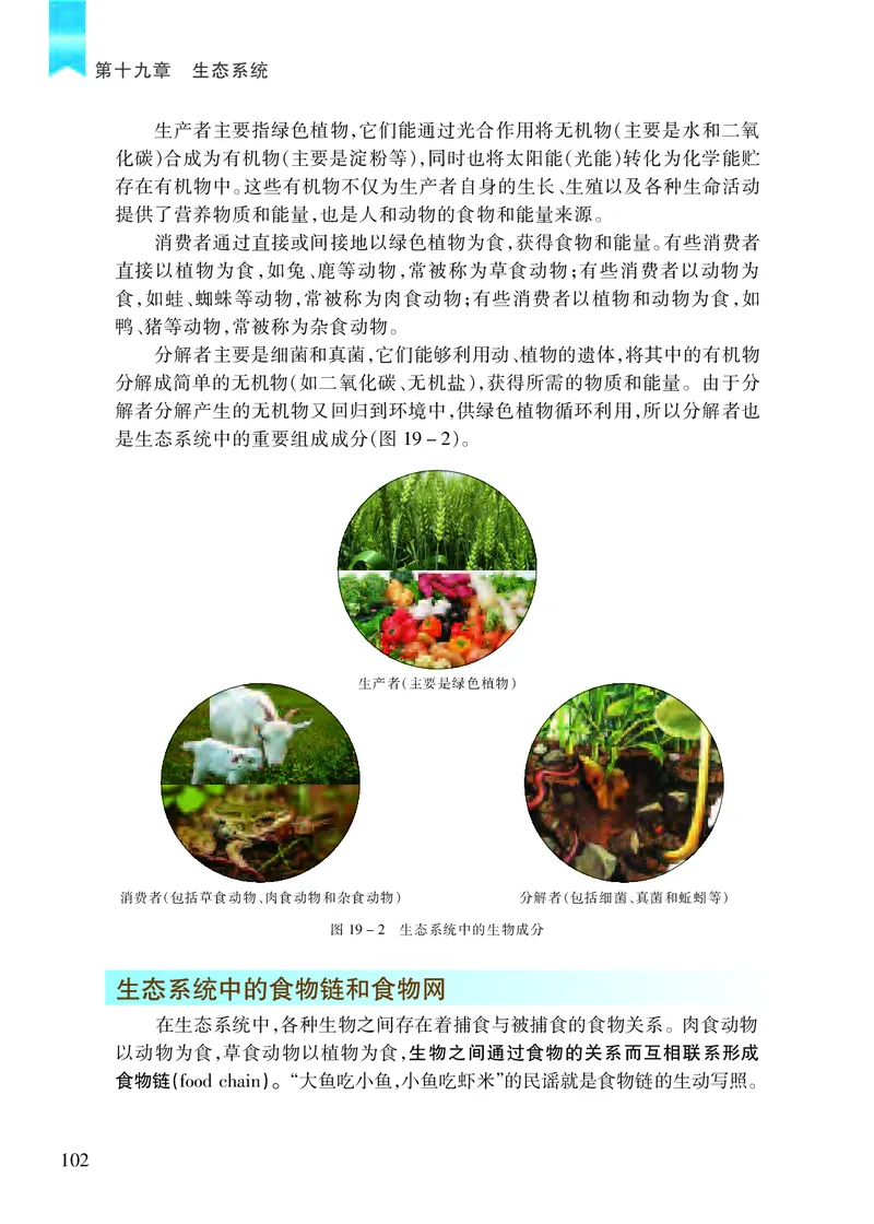 苏教版8年级生物上册高清教材_4-教培资料-26年最新资料-同步更新_初中高中教资_03科三专项（进去保存报考的学科即可）_02科三专项（笔记真题思维导图教学设计版本二）