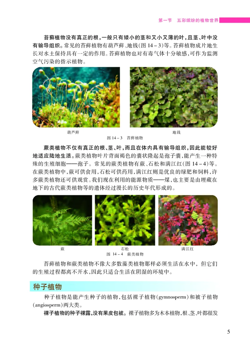 苏教版8年级生物上册高清教材_4-教培资料-26年最新资料-同步更新_初中高中教资_03科三专项（进去保存报考的学科即可）_02科三专项（笔记真题思维导图教学设计版本二）