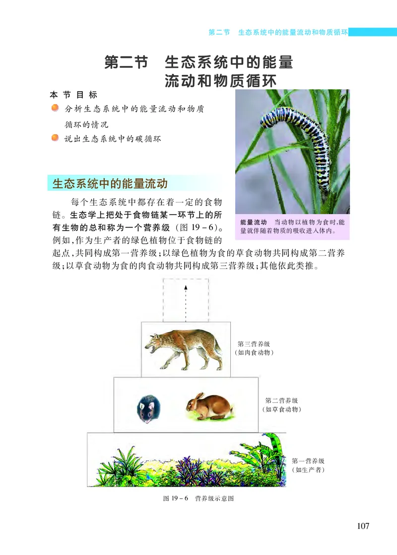 苏教版8年级生物上册高清教材_4-教培资料-26年最新资料-同步更新_初中高中教资_03科三专项（进去保存报考的学科即可）_02科三专项（笔记真题思维导图教学设计版本二）