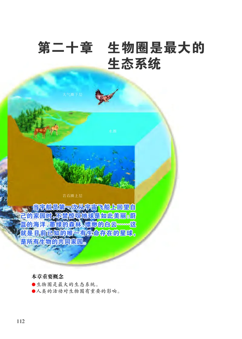 苏教版8年级生物上册高清教材_4-教培资料-26年最新资料-同步更新_初中高中教资_03科三专项（进去保存报考的学科即可）_02科三专项（笔记真题思维导图教学设计版本二）