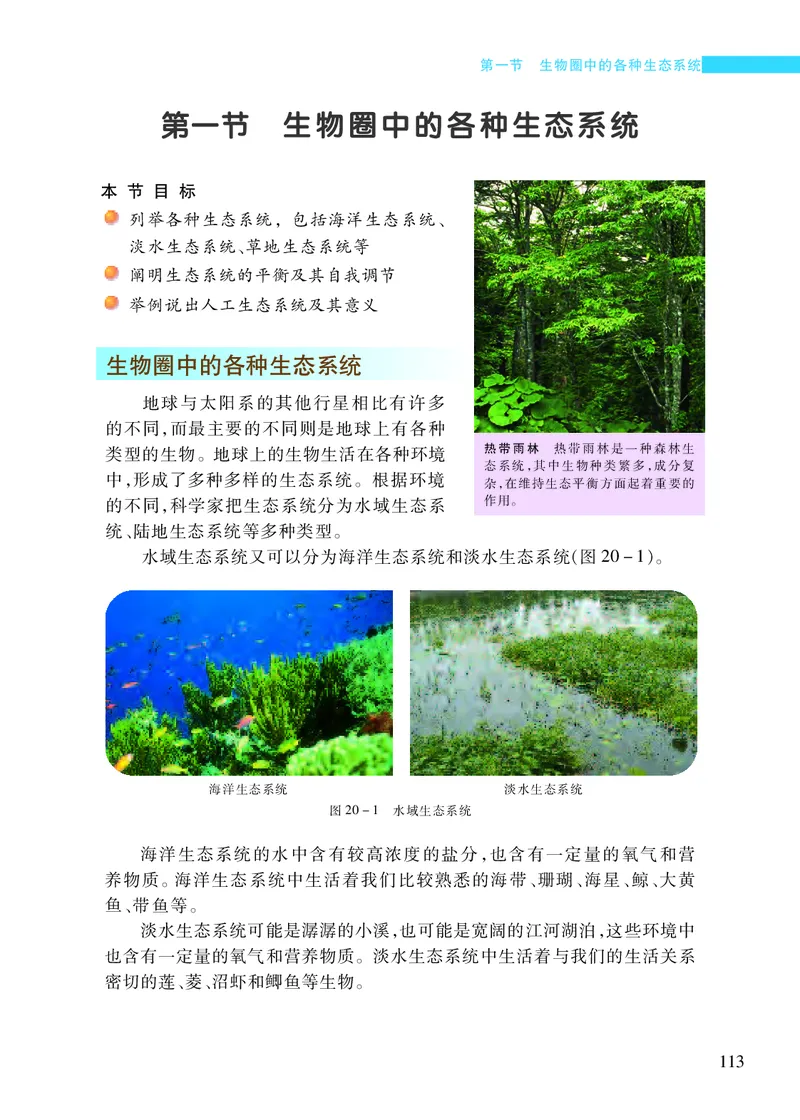 苏教版8年级生物上册高清教材_4-教培资料-26年最新资料-同步更新_初中高中教资_03科三专项（进去保存报考的学科即可）_02科三专项（笔记真题思维导图教学设计版本二）