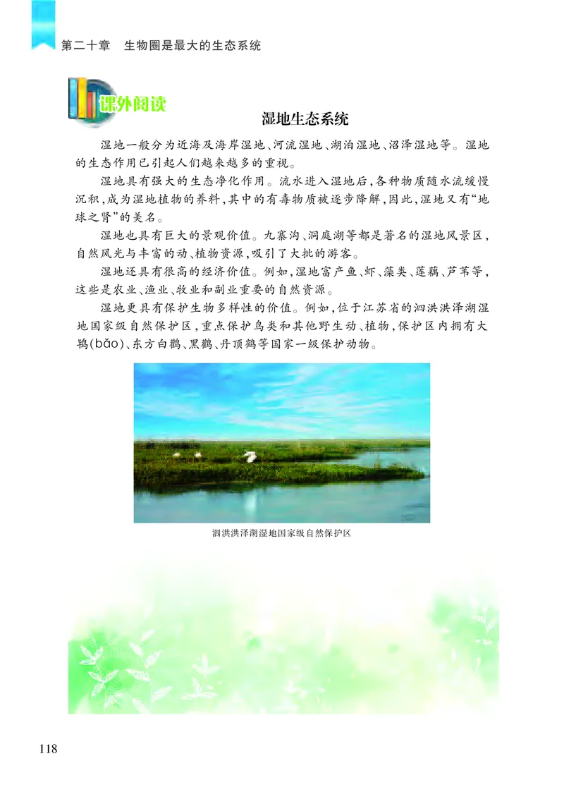 苏教版8年级生物上册高清教材_4-教培资料-26年最新资料-同步更新_初中高中教资_03科三专项（进去保存报考的学科即可）_02科三专项（笔记真题思维导图教学设计版本二）