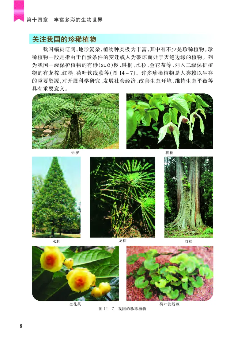 苏教版8年级生物上册高清教材_4-教培资料-26年最新资料-同步更新_初中高中教资_03科三专项（进去保存报考的学科即可）_02科三专项（笔记真题思维导图教学设计版本二）