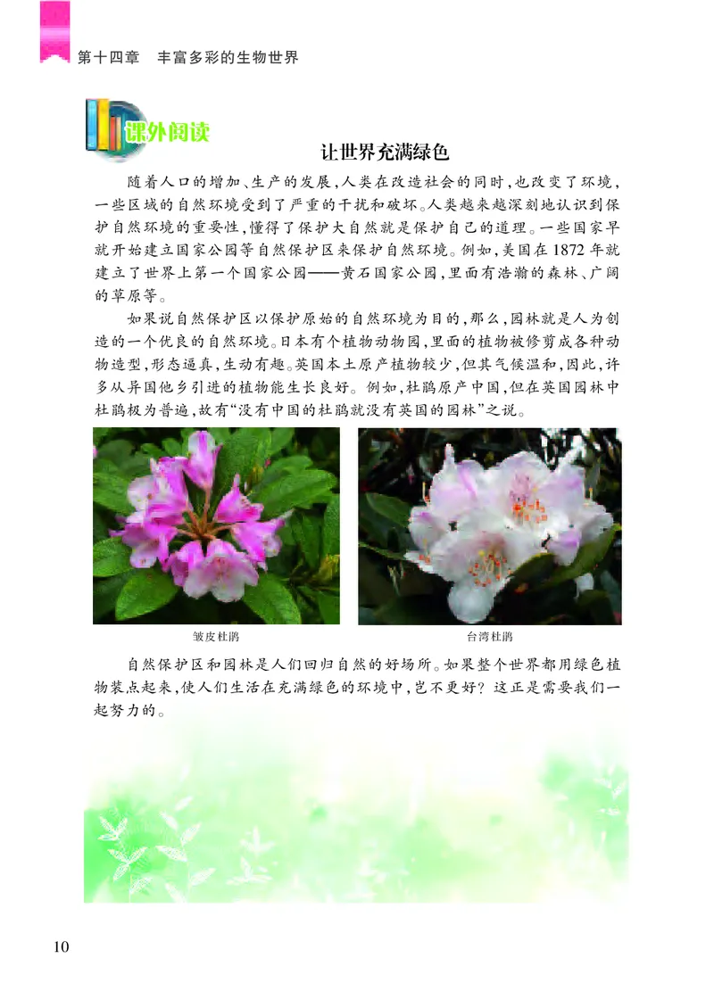 苏教版8年级生物上册高清教材_4-教培资料-26年最新资料-同步更新_初中高中教资_03科三专项（进去保存报考的学科即可）_02科三专项（笔记真题思维导图教学设计版本二）