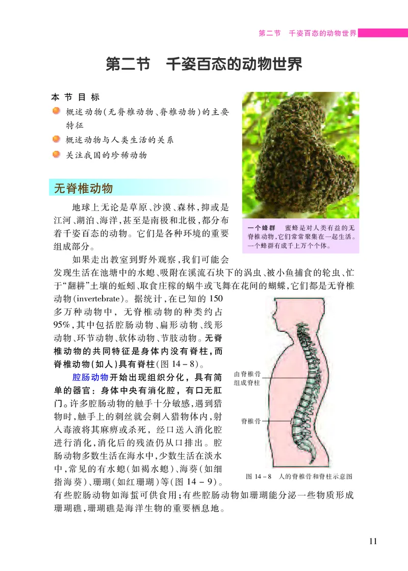 苏教版8年级生物上册高清教材_4-教培资料-26年最新资料-同步更新_初中高中教资_03科三专项（进去保存报考的学科即可）_02科三专项（笔记真题思维导图教学设计版本二）