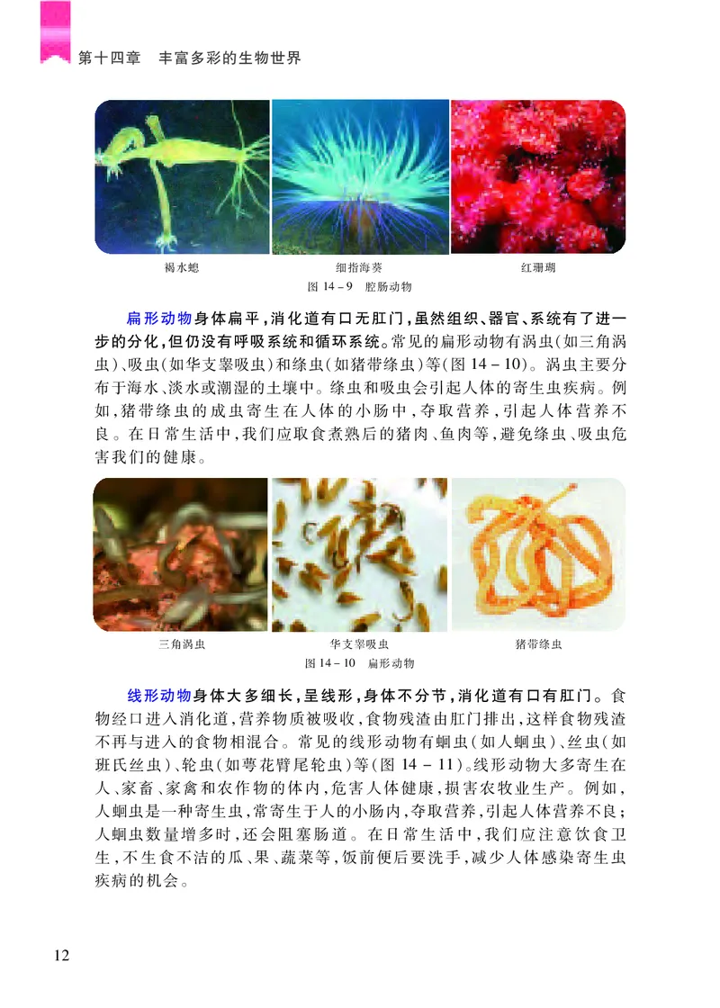 苏教版8年级生物上册高清教材_4-教培资料-26年最新资料-同步更新_初中高中教资_03科三专项（进去保存报考的学科即可）_02科三专项（笔记真题思维导图教学设计版本二）