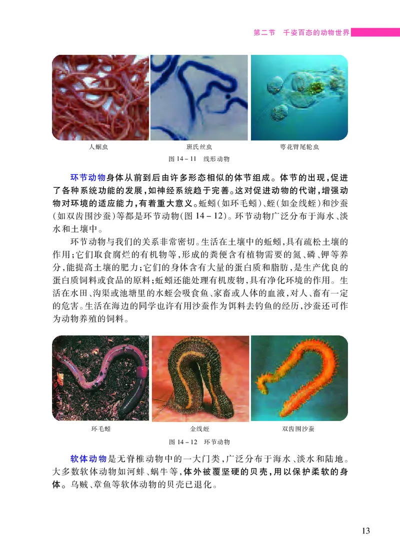 苏教版8年级生物上册高清教材_4-教培资料-26年最新资料-同步更新_初中高中教资_03科三专项（进去保存报考的学科即可）_02科三专项（笔记真题思维导图教学设计版本二）