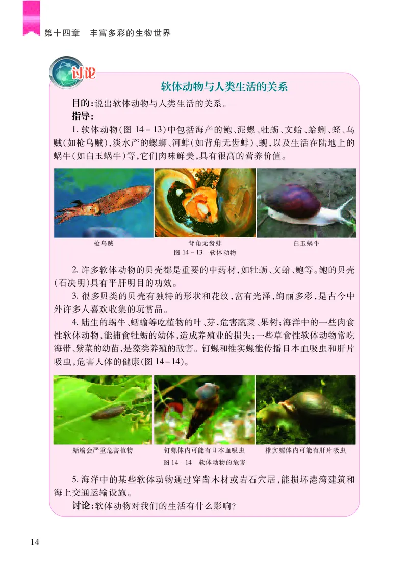 苏教版8年级生物上册高清教材_4-教培资料-26年最新资料-同步更新_初中高中教资_03科三专项（进去保存报考的学科即可）_02科三专项（笔记真题思维导图教学设计版本二）
