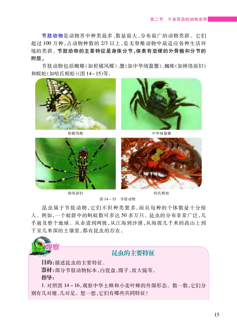 苏教版8年级生物上册高清教材_4-教培资料-26年最新资料-同步更新_初中高中教资_03科三专项（进去保存报考的学科即可）_02科三专项（笔记真题思维导图教学设计版本二）