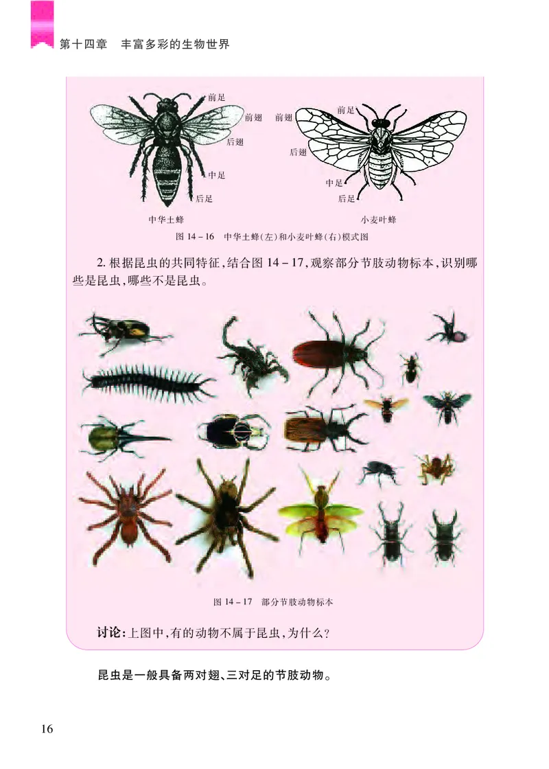 苏教版8年级生物上册高清教材_4-教培资料-26年最新资料-同步更新_初中高中教资_03科三专项（进去保存报考的学科即可）_02科三专项（笔记真题思维导图教学设计版本二）