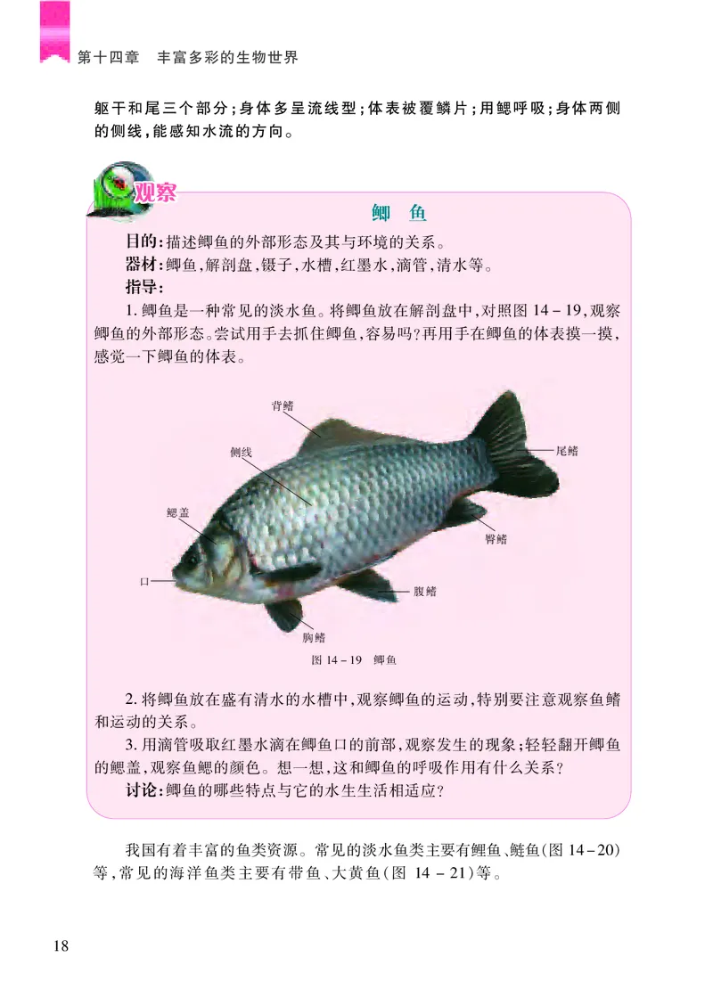 苏教版8年级生物上册高清教材_4-教培资料-26年最新资料-同步更新_初中高中教资_03科三专项（进去保存报考的学科即可）_02科三专项（笔记真题思维导图教学设计版本二）