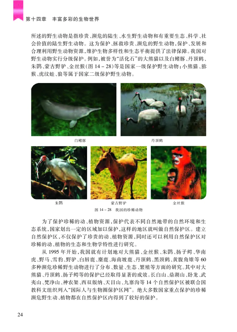 苏教版8年级生物上册高清教材_4-教培资料-26年最新资料-同步更新_初中高中教资_03科三专项（进去保存报考的学科即可）_02科三专项（笔记真题思维导图教学设计版本二）