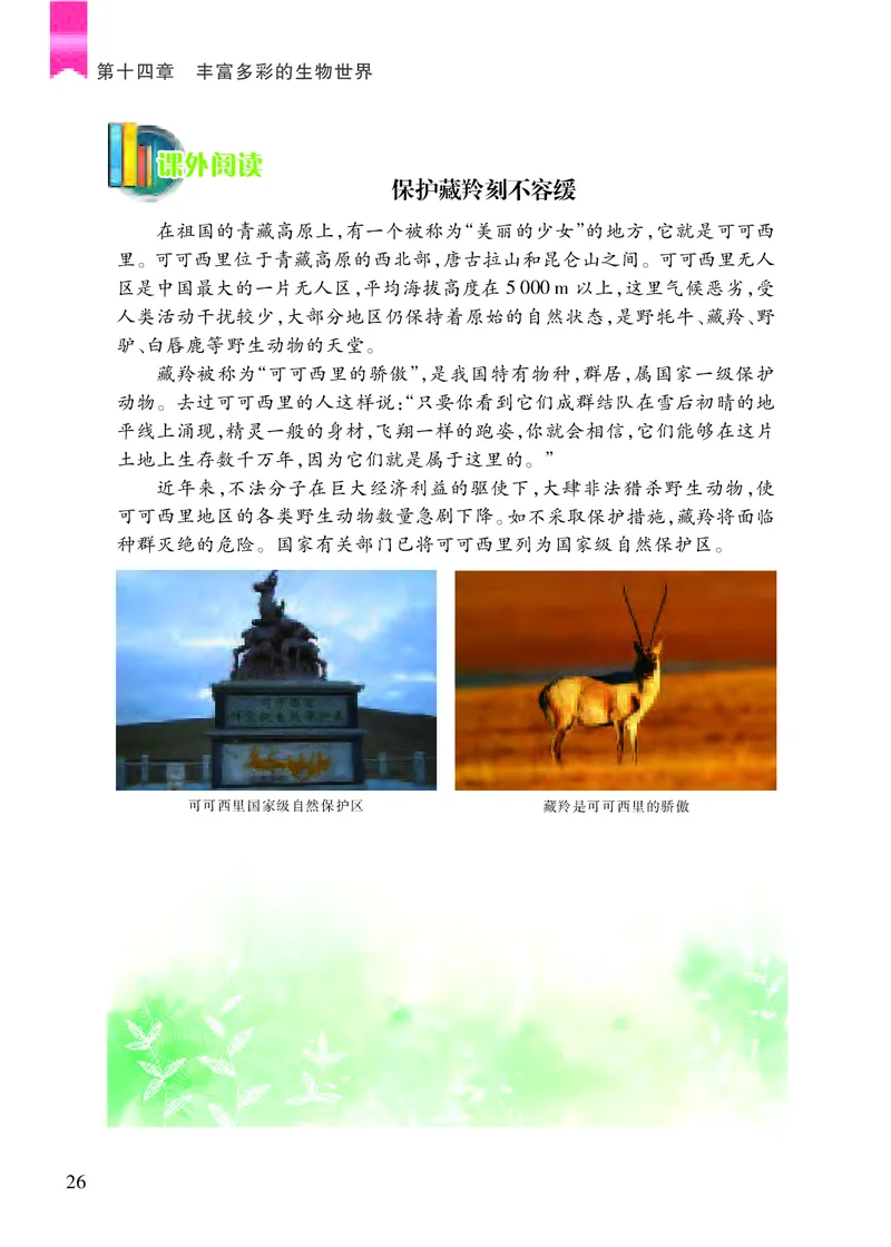 苏教版8年级生物上册高清教材_4-教培资料-26年最新资料-同步更新_初中高中教资_03科三专项（进去保存报考的学科即可）_02科三专项（笔记真题思维导图教学设计版本二）