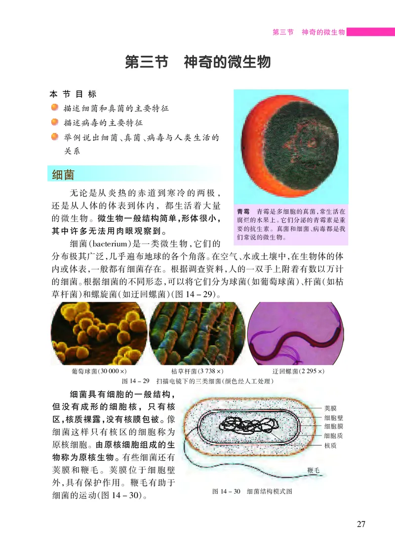 苏教版8年级生物上册高清教材_4-教培资料-26年最新资料-同步更新_初中高中教资_03科三专项（进去保存报考的学科即可）_02科三专项（笔记真题思维导图教学设计版本二）